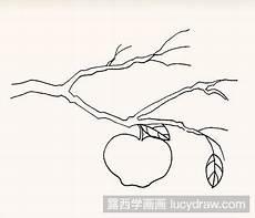 画一个苹果树怎么画